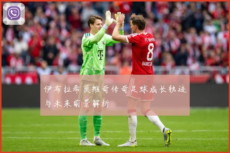 伊布拉希莫维奇传奇足球成长轨迹与未来前景解析