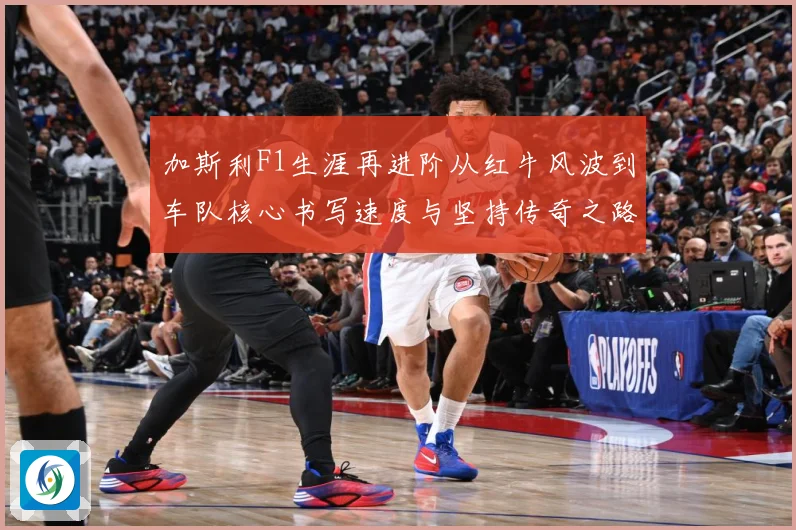 加斯利F1生涯再进阶从红牛风波到车队核心书写速度与坚持传奇之路解析